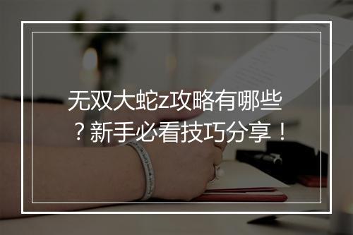无双大蛇z攻略有哪些？新手必看技巧分享！
