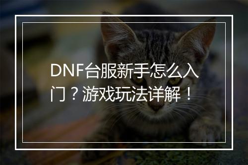 DNF台服新手怎么入门？游戏玩法详解！