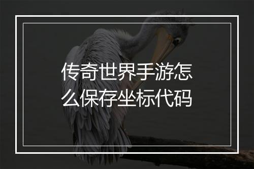 传奇世界手游怎么保存坐标代码