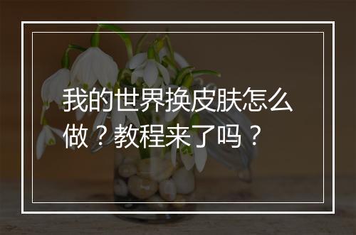 我的世界换皮肤怎么做？教程来了吗？