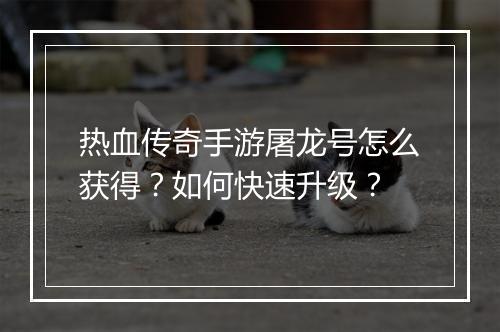 热血传奇手游屠龙号怎么获得？如何快速升级？