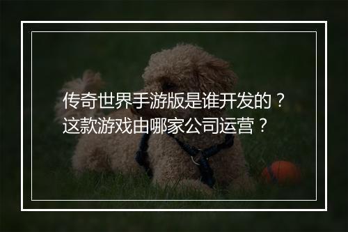 传奇世界手游版是谁开发的？这款游戏由哪家公司运营？