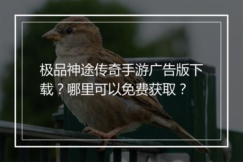 极品神途传奇手游广告版下载？哪里可以免费获取？
