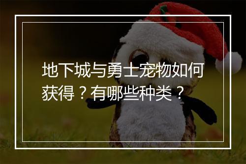 地下城与勇士宠物如何获得？有哪些种类？