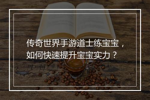 传奇世界手游道士练宝宝，如何快速提升宝宝实力？