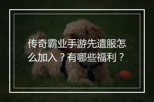传奇霸业手游先遣服怎么加入？有哪些福利？