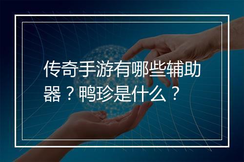 传奇手游有哪些辅助器？鸭珍是什么？