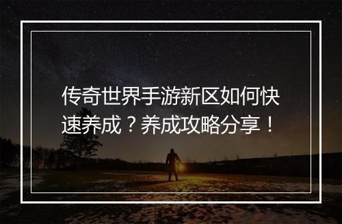 传奇世界手游新区如何快速养成？养成攻略分享！