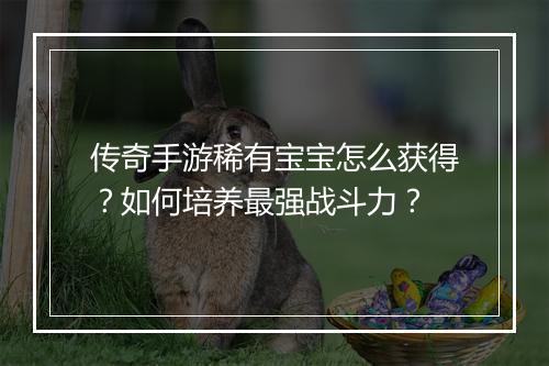 传奇手游稀有宝宝怎么获得？如何培养最强战斗力？
