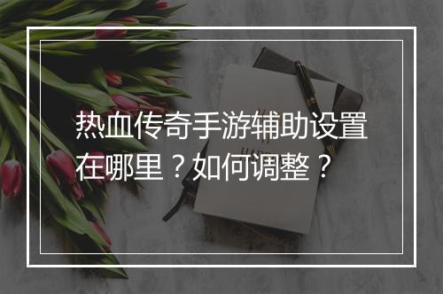 热血传奇手游辅助设置在哪里？如何调整？
