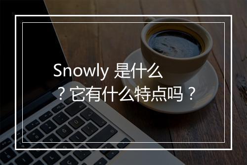 Snowly 是什么？它有什么特点吗？