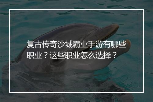 复古传奇沙城霸业手游有哪些职业？这些职业怎么选择？