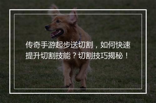 传奇手游起步送切割，如何快速提升切割技能？切割技巧揭秘！