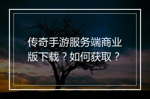 传奇手游服务端商业版下载？如何获取？