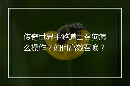 传奇世界手游道士召狗怎么操作？如何高效召唤？