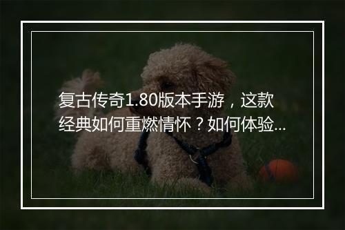 复古传奇1.80版本手游，这款经典如何重燃情怀？如何体验？