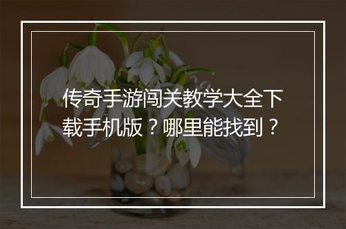 传奇手游闯关教学大全下载手机版？哪里能找到？