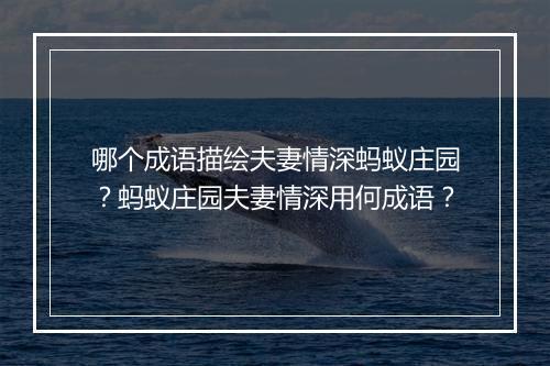 哪个成语描绘夫妻情深蚂蚁庄园？蚂蚁庄园夫妻情深用何成语？