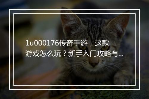 1u000176传奇手游，这款游戏怎么玩？新手入门攻略有哪些？