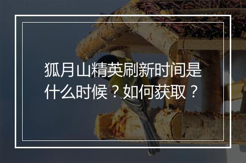 狐月山精英刷新时间是什么时候？如何获取？
