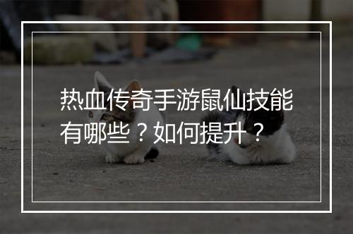 热血传奇手游鼠仙技能有哪些？如何提升？