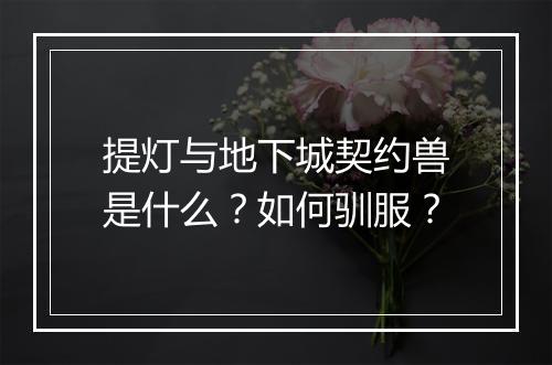 提灯与地下城契约兽是什么？如何驯服？