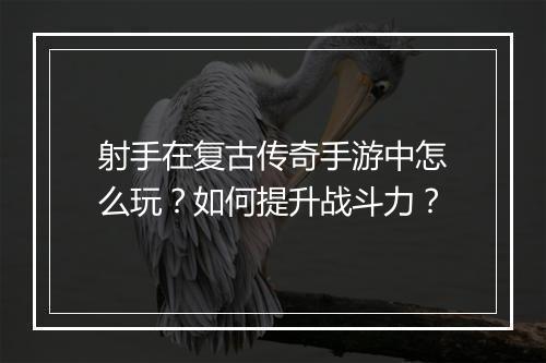射手在复古传奇手游中怎么玩？如何提升战斗力？