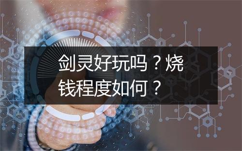 剑灵好玩吗？烧钱程度如何？