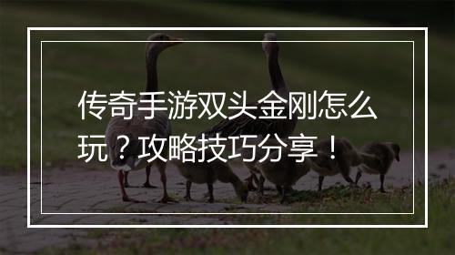 传奇手游双头金刚怎么玩？攻略技巧分享！