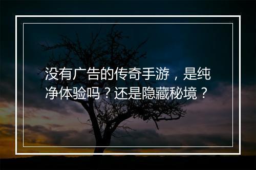 没有广告的传奇手游，是纯净体验吗？还是隐藏秘境？