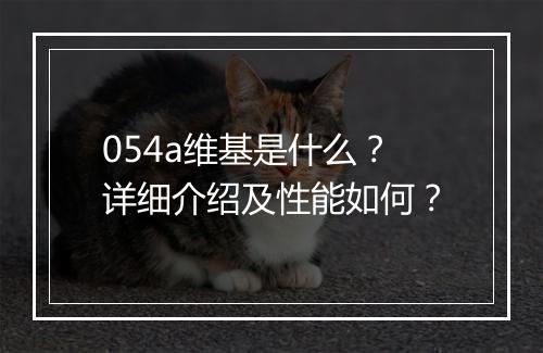 054a维基是什么？详细介绍及性能如何？