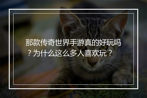 那款传奇世界手游真的好玩吗？为什么这么多人喜欢玩？