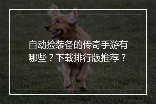 自动捡装备的传奇手游有哪些？下载排行版推荐？