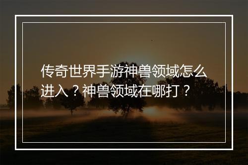 传奇世界手游神兽领域怎么进入？神兽领域在哪打？