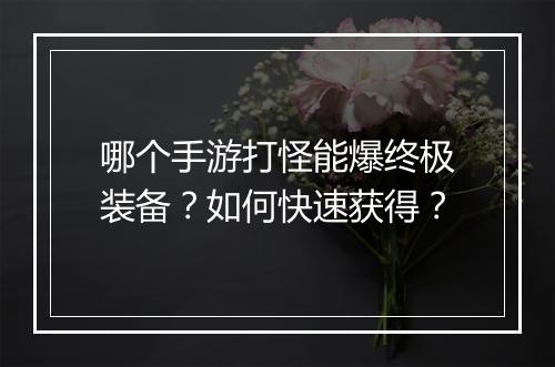 哪个手游打怪能爆终极装备？如何快速获得？