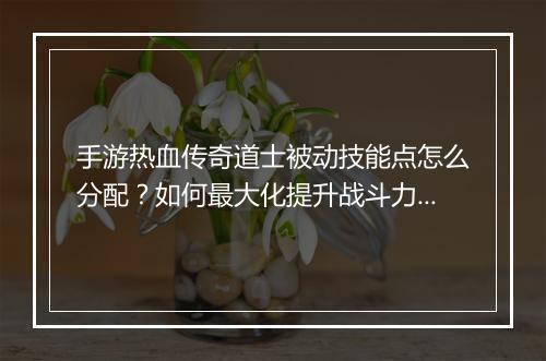 手游热血传奇道士被动技能点怎么分配？如何最大化提升战斗力？