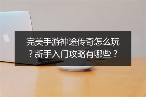 完美手游神途传奇怎么玩？新手入门攻略有哪些？