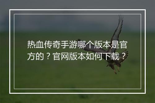 热血传奇手游哪个版本是官方的？官网版本如何下载？