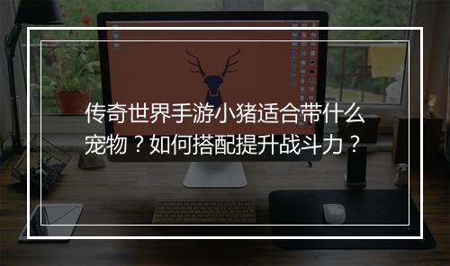 传奇世界手游小猪适合带什么宠物？如何搭配提升战斗力？