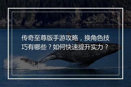 传奇至尊版手游攻略，换角色技巧有哪些？如何快速提升实力？