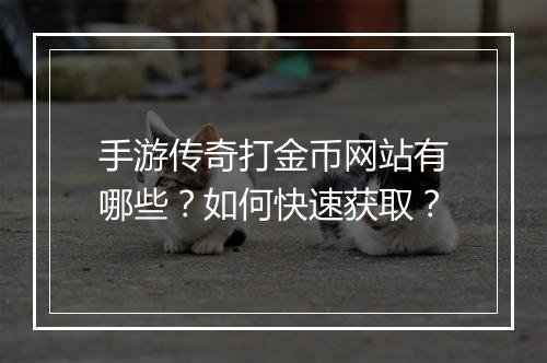手游传奇打金币网站有哪些？如何快速获取？