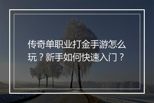 传奇单职业打金手游怎么玩？新手如何快速入门？