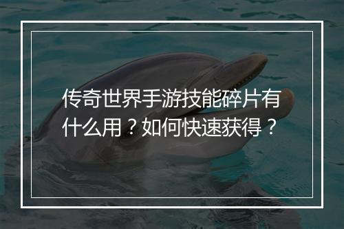 传奇世界手游技能碎片有什么用？如何快速获得？
