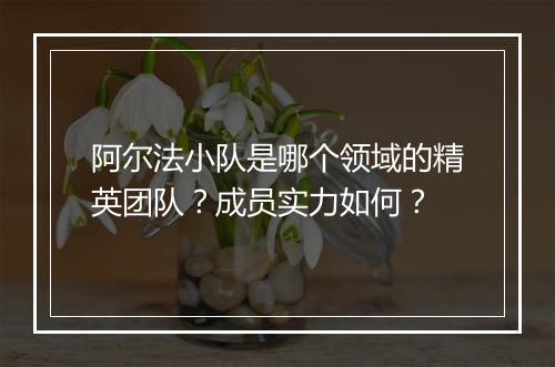 阿尔法小队是哪个领域的精英团队？成员实力如何？