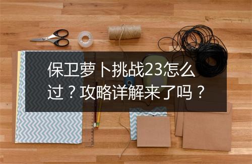 保卫萝卜挑战23怎么过？攻略详解来了吗？