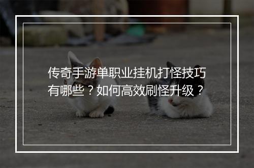传奇手游单职业挂机打怪技巧有哪些？如何高效刷怪升级？