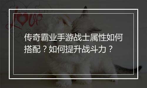 传奇霸业手游战士属性如何搭配？如何提升战斗力？