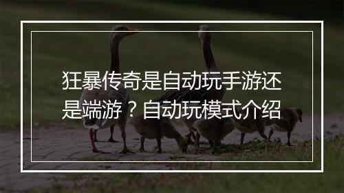 狂暴传奇是自动玩手游还是端游？自动玩模式介绍