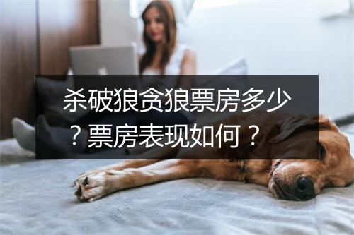 杀破狼贪狼票房多少？票房表现如何？
