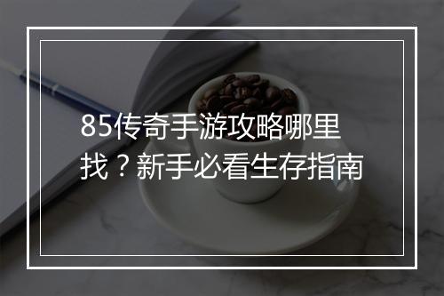 85传奇手游攻略哪里找？新手必看生存指南